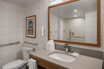 Room, 1 King Bed, Accessible (Roll-In Shower, Mobility & Hearing)