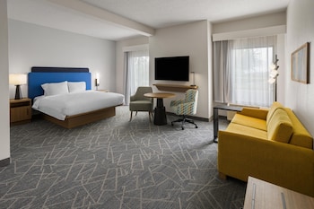 Deluxe Room, 1 King Bed with Sofa bed, Non Smoking