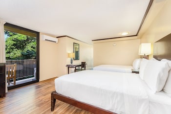 Studio Pool/City View Deluxe Full Kitchen