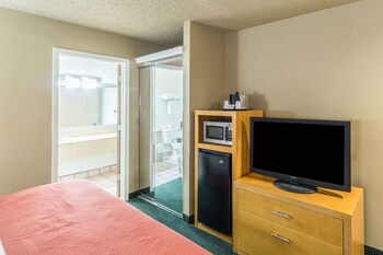 Standard Room, 1 King Bed with Sofa bed, Non Smoking