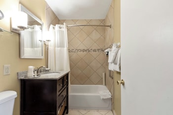 Studio Suite, 1 King Bed