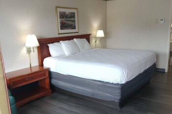 Room, 1 King Bed, Non Smoking