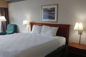 Room, 1 King Bed, Non Smoking