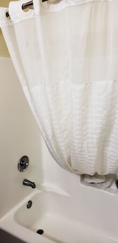 Studio Suite, Multiple Beds, Non Smoking