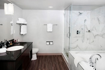 Suite, 1 King Bed with Sofa bed