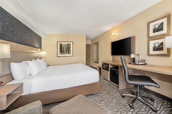 Room, 1 King Bed, Non Smoking (2nd Floor)