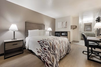 Deluxe Room, 1 Double Bed, Accessible, Non Smoking (Renovated)