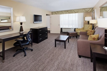 Standard Room, 1 King Bed, Accessible (Communication, Accessible Tub)