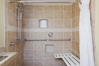 Standard Room, 1 King Bed, Accessible (Communication, Roll-In Shower)