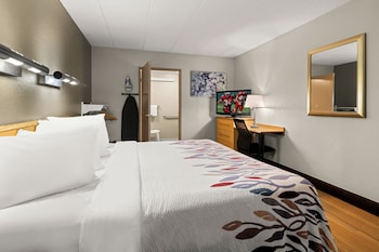 Superior Room, 1 King Bed, Accessible (Roll-In Shower, Smoke Free)