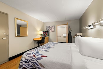 Superior Room, Accessible (Smoke Free)