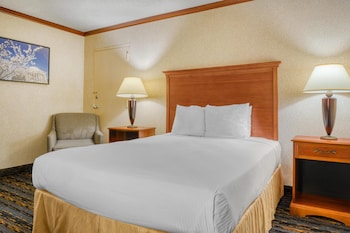 Standard Room, 1 Double Bed, Non Smoking, Refrigerator & Microwave