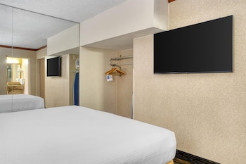 Suite, 1 King Bed, Non Smoking, Refrigerator & Microwave (with Sofabed)