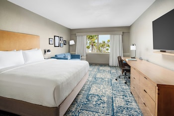 Room, 1 King Bed with Sofa bed