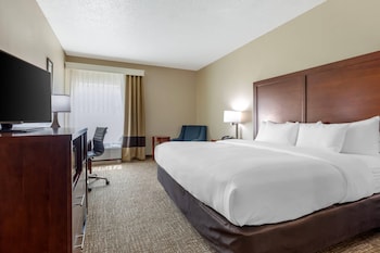 Room, 1 King Bed, Accessible, Non Smoking (Roll-In Shower)