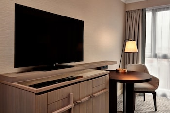 Panoramic Room, 1 King Bed (Panorama)
