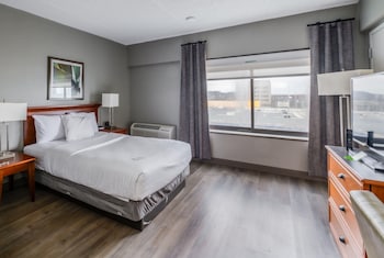 1 Full Bed, Mobility/Hearing Impaired Accessible Room, Limited View, Non-Smoking