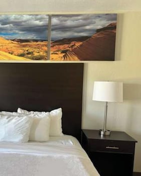 Standard Room, 1 King Bed, Non Smoking (Pet-Friendly)