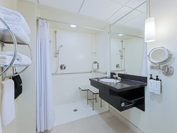 Standard Room, 1 King Bed, Accessible (Communications, Roll-In Shower)
