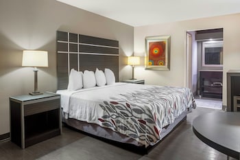 Superior Room, 1 King Bed, Non Smoking