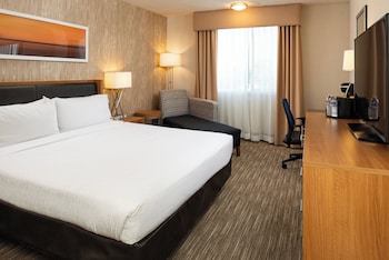 Standard Room, 1 King Bed, Accessible (Communications, Roll-in Shower)