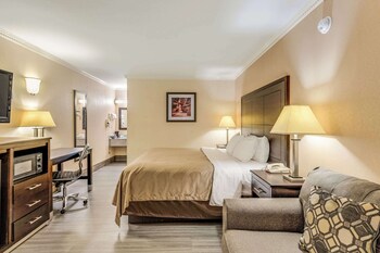 Room, 1 King Bed, Accessible, Non Smoking
