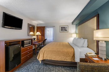 Standard Room, 1 King Bed with Sofa bed, Non Smoking (2 Person Sofabed)