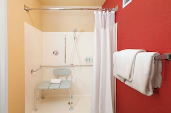 Room, 1 King Bed with Sofa bed (Mobility/Hearing Access, Roll-In Shwr)