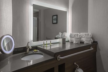 Deluxe Room, 1 King Bed with Sofa bed, Accessible (Hearing)