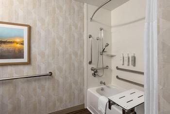 Room, 1 King Bed, Accessible, Bathtub (Mobility & Hearing)