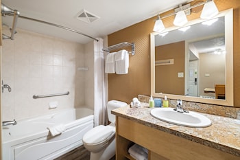 Studio, 1 Queen Bed
