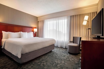 Room, 1 King Bed with Sofa bed, Hearing Accessible