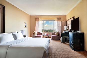 Panoramic Room, 1 King Bed, Accessible Bathtub, Park View (Meadow Suite)