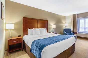 Standard Room, 1 King Bed, Non Smoking