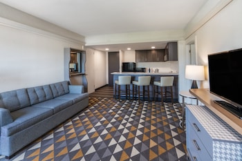Suite, 1 King Bed with Sofa bed
