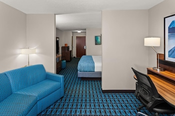 Executive Suite, 1 King Bed with Sofa bed, Mobility Accessible, Non Smoking (Bathtub W/grab Bars)