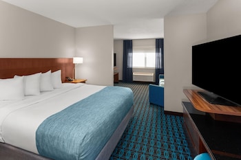 Executive Suite, 1 King Bed with Sofa bed, Mobility Accessible, Non Smoking (Bathtub W/grab Bars)
