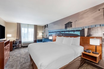Standard Room, 1 King Bed with Sofa bed, Non Smoking