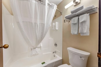 Standard Room, 1 King Bed with Sofa bed, Non Smoking