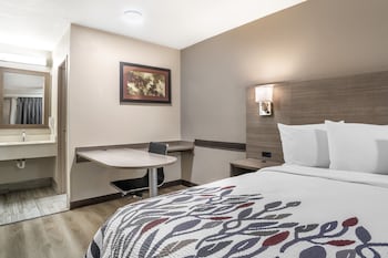 Superior Room, 1 King Bed, Non Smoking