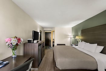 Standard Room, 1 King Bed, Non Smoking
