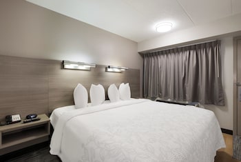Standard Room, 1 King Bed (Smoke Free)