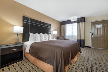Standard Room, 1 King Bed, Accessible, Refrigerator & Microwave (Walk-in Shower)