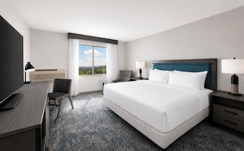 Room, 1 King Bed