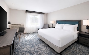 Room, 1 King Bed, Accessible, Bathtub (Hearing)