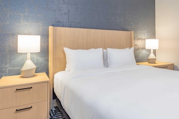 Room, 1 King Bed with Sofa bed