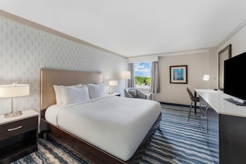 Room, 1 King Bed, Non Smoking