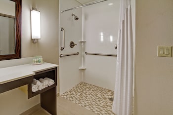 Suite, 1 King Bed, Accessible (Mobility, Roll-In Shower)