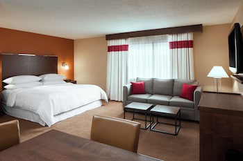 Room, 1 King Bed with Sofa bed