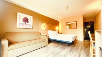 Room, 1 King Bed, Non Smoking